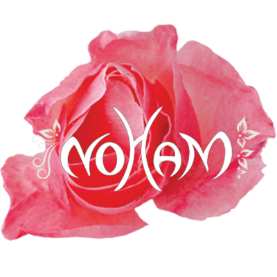 Ma-bulle-de-bien-être-Noham-Logo